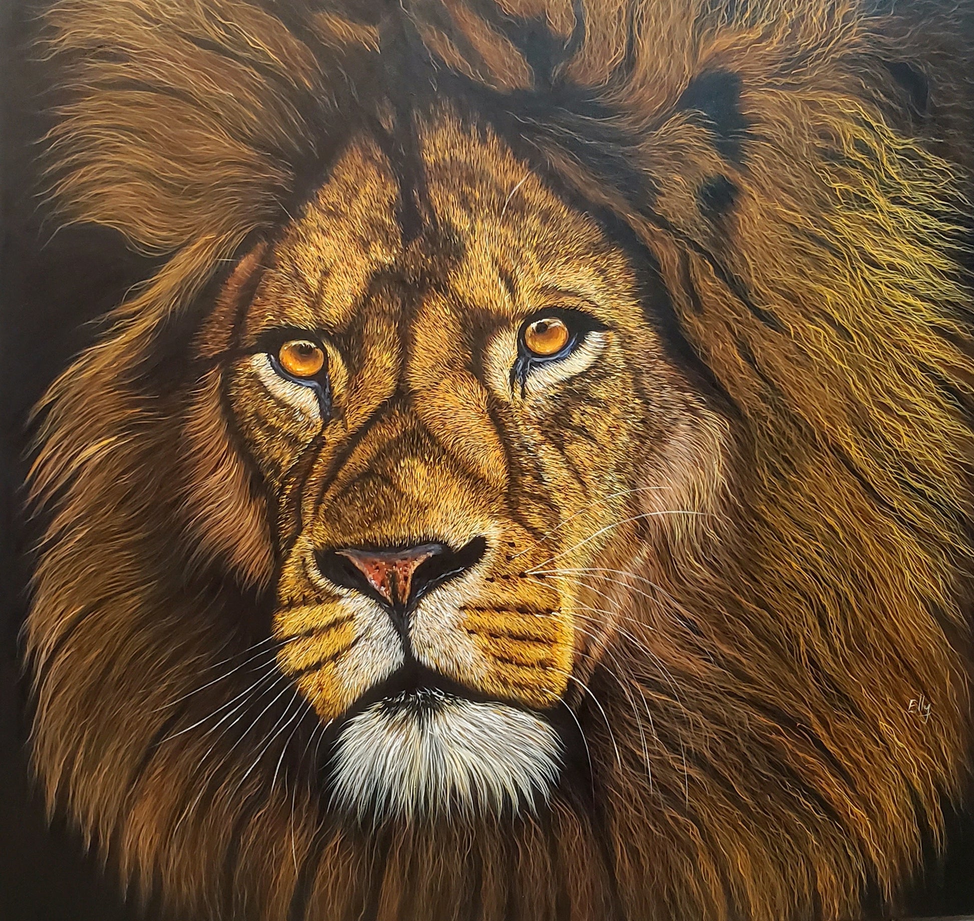 Alu-Dibond Fine Art Print Of Original Acrylic Painting Lion